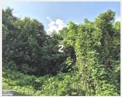  2024Ÿ��37754 ��� ���� ������ �������� 190-10      ����(�Ӿ�)���