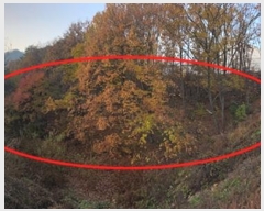  2024Ÿ��40743 ��� ���� ������ ��ȣ�� ��138-11      ����(�Ӿ�)���