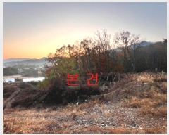  2024Ÿ��40743 ��� ���� ������ ��ȣ�� ��138-11      ����(�Ӿ�)���