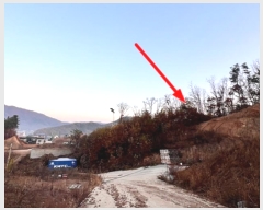  2024Ÿ��40743 ��� ���� ������ ��ȣ�� ��138-11      ����(�Ӿ�)���