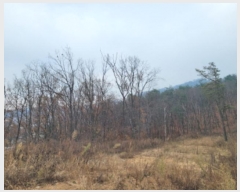  2024Ÿ��40743 ��� ���� ������ ��ȣ�� ��138-11      ����(�Ӿ�)���