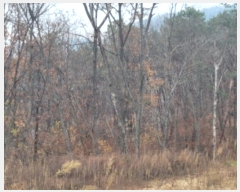  2024Ÿ��40743 ��� ���� ������ ��ȣ�� ��138-11      ����(�Ӿ�)���