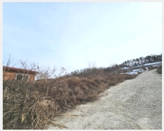  2024Ÿ219  õ ϵ 314-4       (Ӿ)