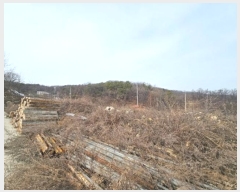  2024Ÿ219  õ ϵ 314-4       (Ӿ)