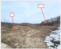  2024Ÿ219  õ ϵ 314-4       (Ӿ)