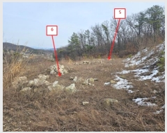  2024Ÿ219  õ ϵ 314-4       (Ӿ)