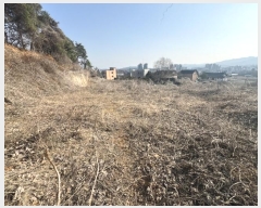  2024Ÿ��516  �Ӿ߰��