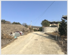  2024Ÿ��516  �Ӿ߰��