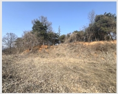  2024Ÿ��516  �Ӿ߰��