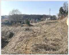  2024Ÿ��516  �Ӿ߰��