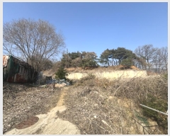  2024Ÿ��516  �Ӿ߰��