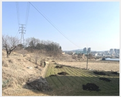  2024Ÿ��516  �Ӿ߰��