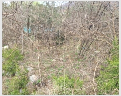  2024Ÿ1670    ︮ 22-3      ()