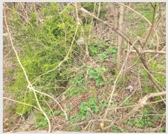  2024Ÿ1670    ︮ 22-3      ()