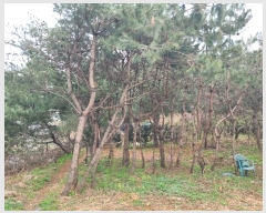  2024Ÿ1670    ︮ 22-3      ()