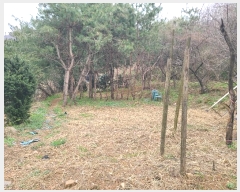  2024Ÿ1670    ︮ 22-3      ()