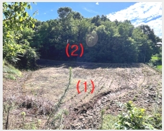  2024Ÿ2581  õ ŵи  357      (1)