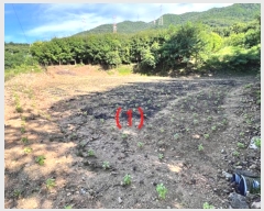  2024Ÿ2581  õ ŵи  357      (1)