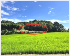  2024Ÿ2581  õ ŵи  357      (1)