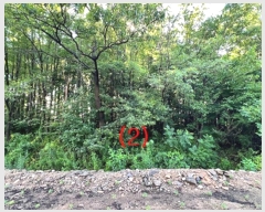  2024Ÿ2581  õ ŵи  357      (1)