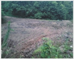  2024Ÿ2581  õ ŵи  357      (1)