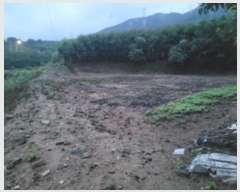  2024Ÿ2581  õ ŵи  357      (1)