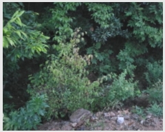  2024Ÿ2581  õ ŵи  357      (1)