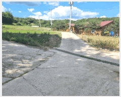  2024Ÿ��2895 ��� ���� ����� ��� 217-4      ����(�Ӿ�)���