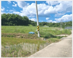  2024Ÿ��2895 ��� ���� ����� ��� 217-4      ����(�Ӿ�)���