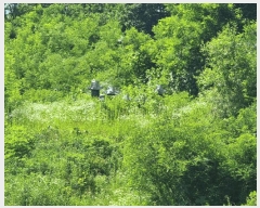  2024Ÿ��2895 ��� ���� ����� ��� 217-4      ����(�Ӿ�)���