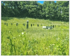  2024Ÿ��2895 ��� ���� ����� ��� 217-4      ����(�Ӿ�)���