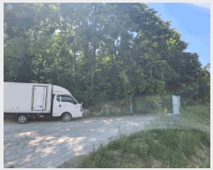  2024Ÿ��2895 ��� ���� ����� ��� 217-4      ����(�Ӿ�)���