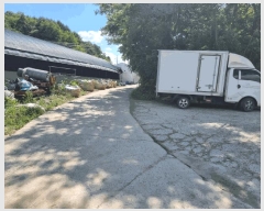  2024Ÿ��2895 ��� ���� ����� ��� 217-4      ����(�Ӿ�)���