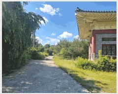  2024Ÿ��2895 ��� ���� ����� ��� 217-4      ����(�Ӿ�)���