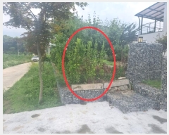  2024Ÿ��3058  ���ð��