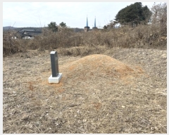  2024Ÿ��3430 ��� ���ֽ� �ϰŵ� ��94-21       ����(�Ӿ�)���