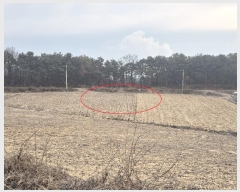  2024Ÿ3683  ֽ Ÿ 긮 142-16      (1)