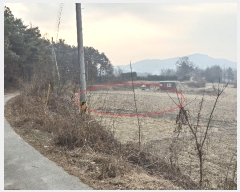  2024Ÿ3683  ֽ Ÿ 긮 142-16      (1)