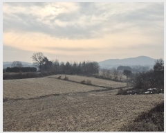  2024Ÿ3683  ֽ Ÿ 긮 142-16      (1)