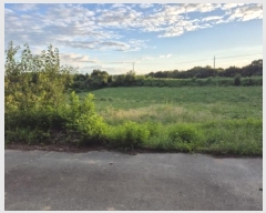  2024Ÿ3683  ֽ Ÿ 긮 142-16      (1)