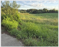  2024Ÿ3683  ֽ Ÿ 긮 142-16      (1)