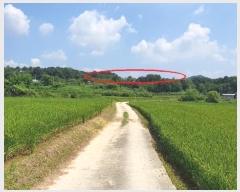  2024Ÿ��4228  �Ӿ߰��