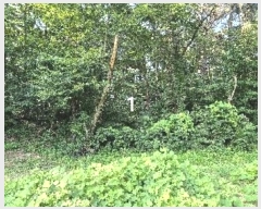  2024Ÿ��4228  �Ӿ߰��