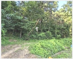  2024Ÿ��4228  �Ӿ߰��