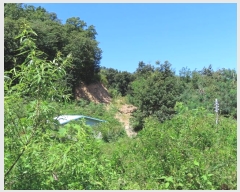  2024Ÿ��4341  �Ӿ߰��