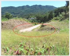  2024Ÿ��4341  �Ӿ߰��