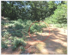  2024Ÿ��4341  �Ӿ߰��