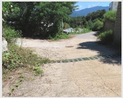  2024Ÿ��4341  �Ӿ߰��