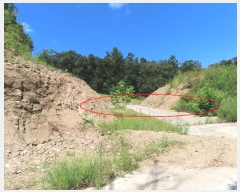  2024Ÿ��4341  �Ӿ߰��