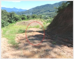  2024Ÿ��4341  �Ӿ߰��